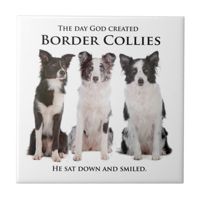 Border Collie Tile (Front)