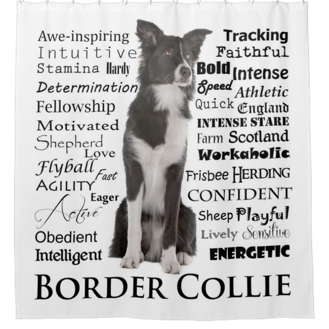 Border Collie Traits Shower Curtain (Front)