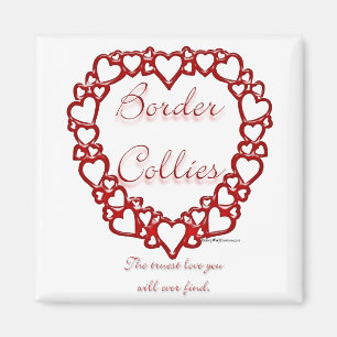 Border Collie True Love Magnet