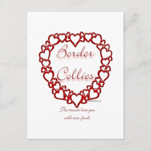 Border Collie True Love Postcard