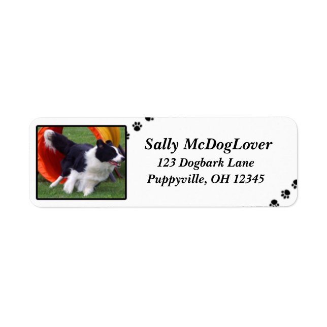 Border Collie Tunnel Agility Return Address Label (Front)