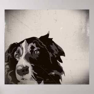 Border Collie urban no. 1 art poster