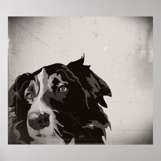 Border Collie urban no. 1 art poster (Front)