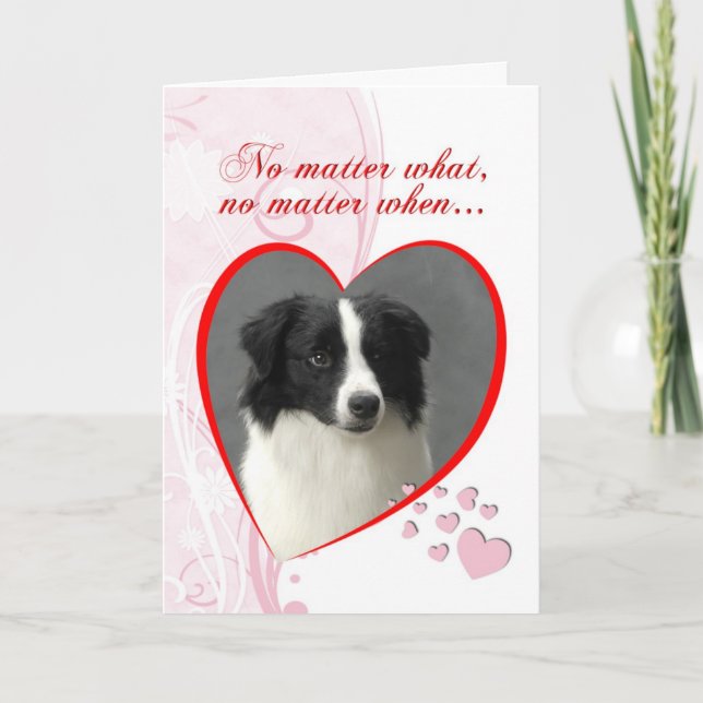 Border Collie Valentine Holiday Card (Front)