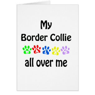 Border Collie Walks Design