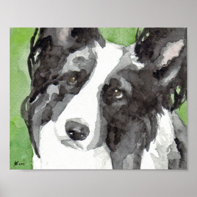 Border Collie Watercolor Poster (Front)