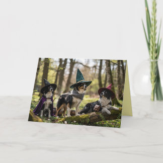 Border Collie Witch Halloween Card