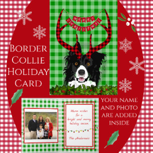 Border Collie with Antlers Merry Christmas Card