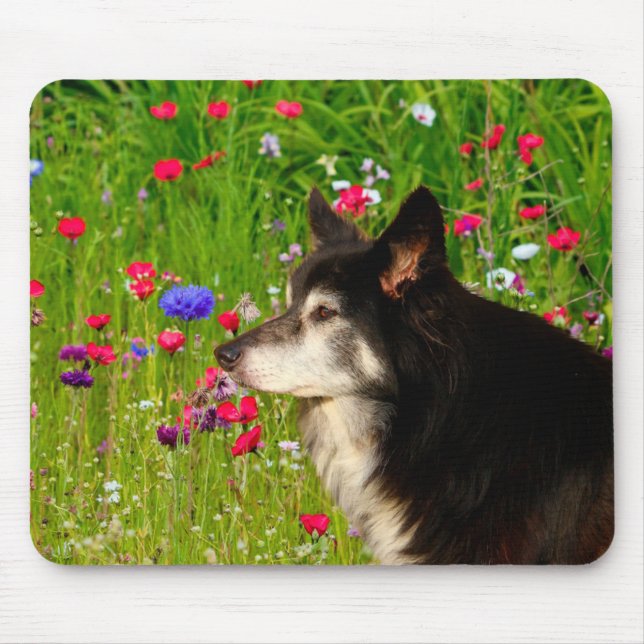 Border Collie with beautiful flowers Mouse Pad (Front)