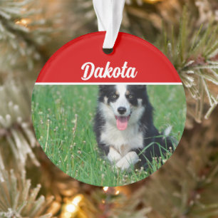 Border Collie with Name and Photo Christmas Ornament