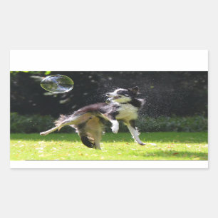 border collie with soap bubble rectangular sticker