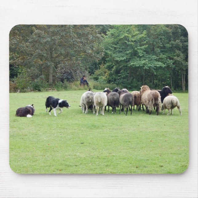 Border Collie working Mouse Pad (Front)