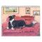 Border Collie World Calendar