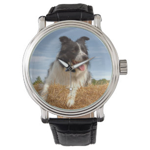 Border Collie WRIST WATCH