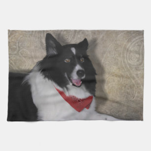 Border Collie "Wylie" Tea Towel