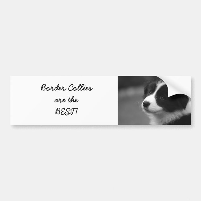 Border Collies are the BEST! Bumper Sticker (Front)