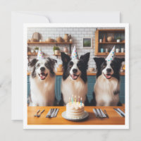 Border Collies, Dog birthday card, Dog