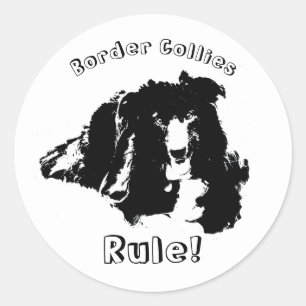 Border Collies Rule Cute Dog  Classic Round Sticker