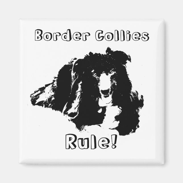 Border Collies Rule Funny Dog Magnet (Front)