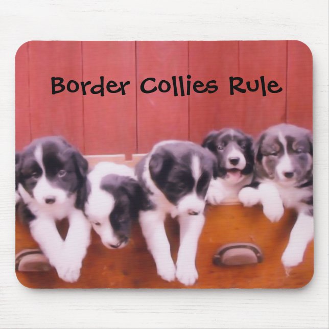 Border Collies Rule Mouse Pad (Front)