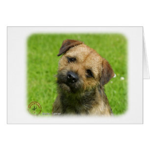 Border Terrier 9W009D-127