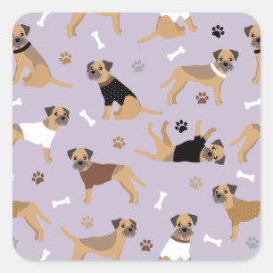 Border Terrier Bones and Paws Square Sticker