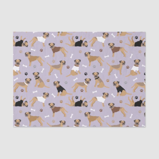 Border Terrier Bones and Paws Tissue Paper (Front)