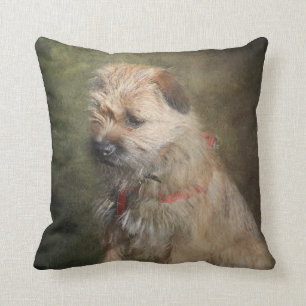 Border Terrier Cushion