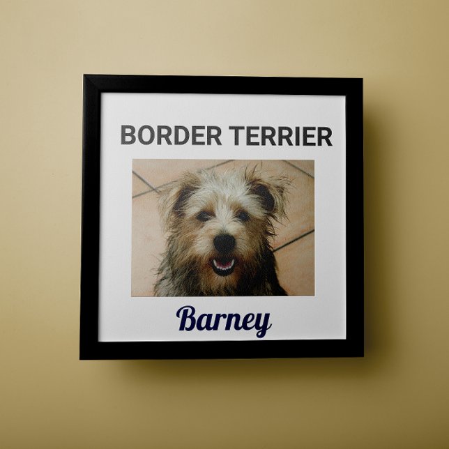 Border Terrier Custom Dog Poster (Creator Uploaded)