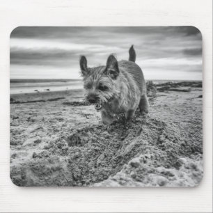 Border Terrier Digging, Photography, Mousepad