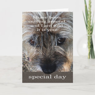 Border Terrier dog birthday card