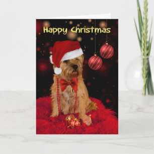 Border Terrier Dog In A Santa Hat Happy Christmas Holiday Card