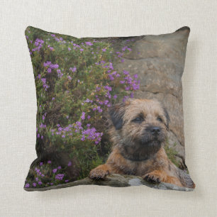 Border Terrier Dog In Wild Heather Throw Pillow