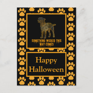 Border Terrier Dog Silhouette Halloween Orange Postcard