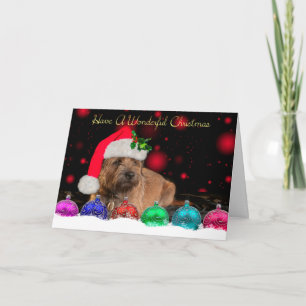 Border Terrier In Santa Hat Christmas Card