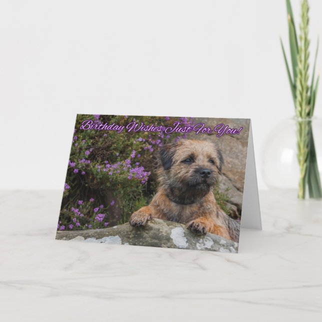 Border Terrier On A Rock With Wild Purple Heather Card (Front)