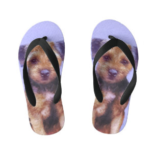 Border Terrier Painting - Cute Original Dog Art Kid's Thongs
