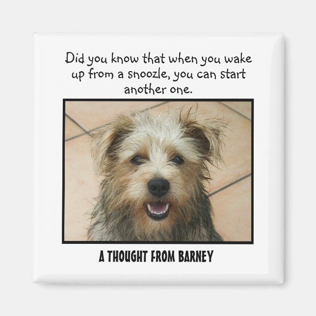 Border Terrier Personalised Custom Magnet (Front)