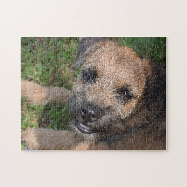 Border Terrier Portrait Jigsaw Puzzle (Horizontal)