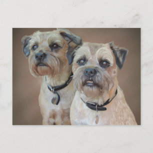 Border Terrier Postcard