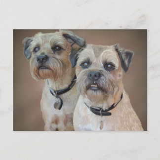 Border Terrier Postcard