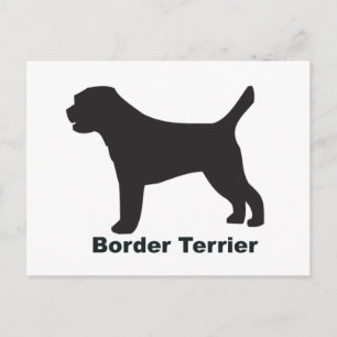 Border Terrier Postcard