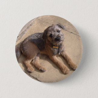 Border Terrier Puppy 6 Cm Round Badge