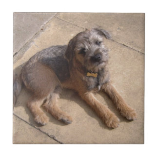 Border Terrier Puppy Ceramic Tile