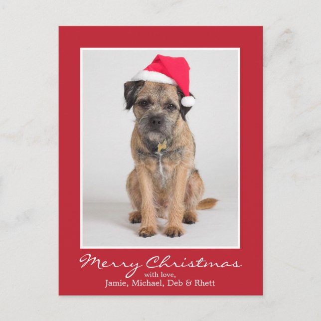 Border Terrier Wearing A Santa Hat Holiday Postcard (Front)