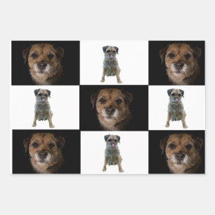 Border Terrier wrapping paper