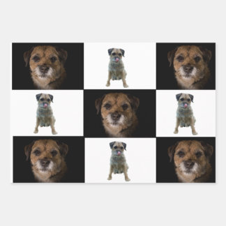 Border Terrier wrapping paper