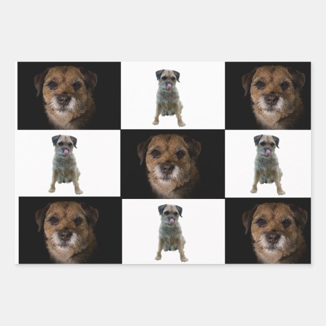 Border Terrier wrapping paper (Front 2)