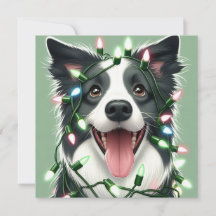 Bordercollie Flat Holiday Card
