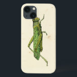 Bordered Print of Green Grasshopper iPhone 13 Case<br><div class="desc">This lime bordered print features a green grasshopper on a cream background. A Vision Studio original,  this would make a great gift for the insect or nature lover in your life!</div>